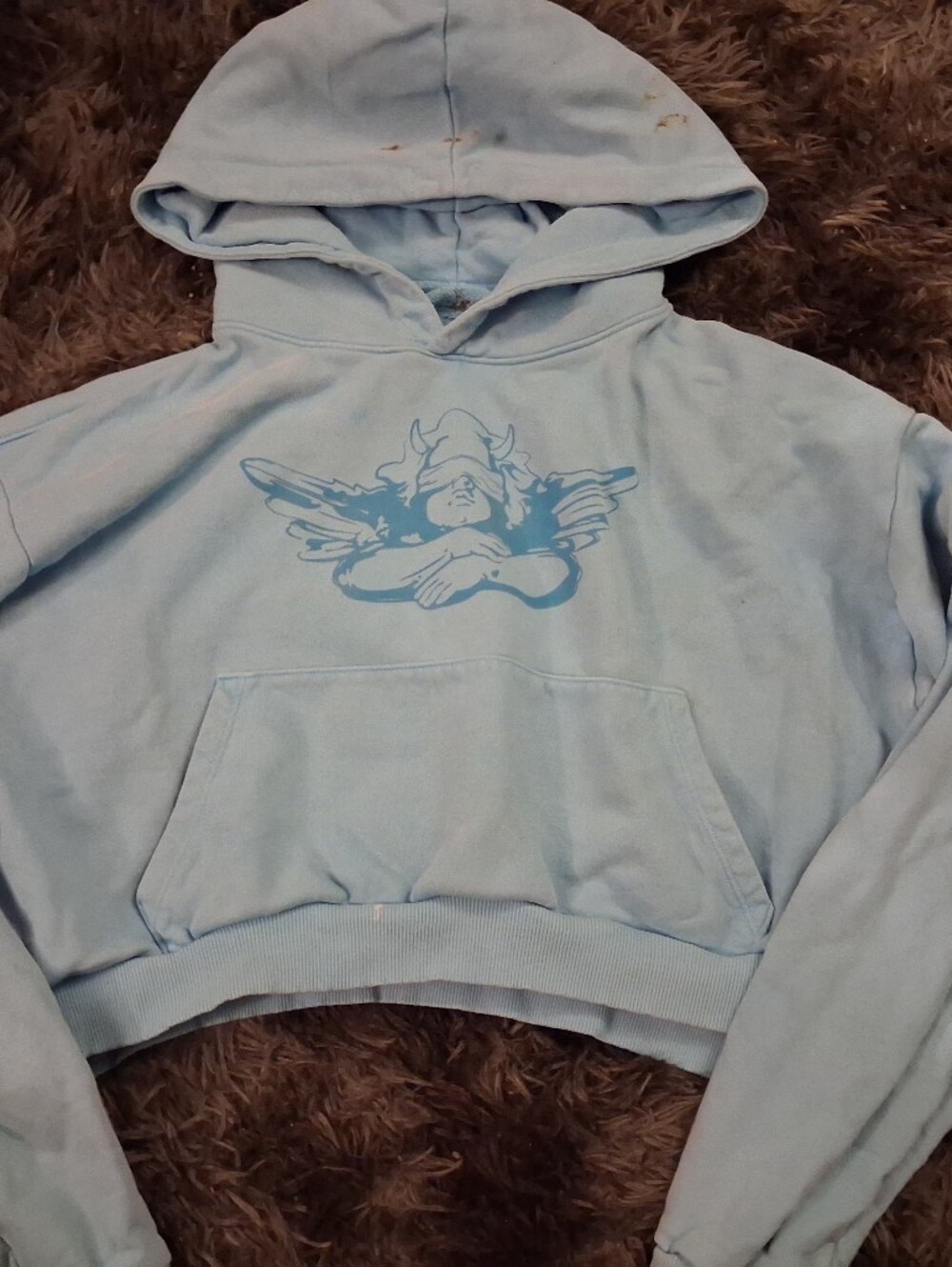 Boys Lie Blue Cropped Hoodie with Graphic